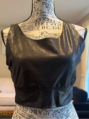 Sleek Black Shimmery Sleeveless Crop Top